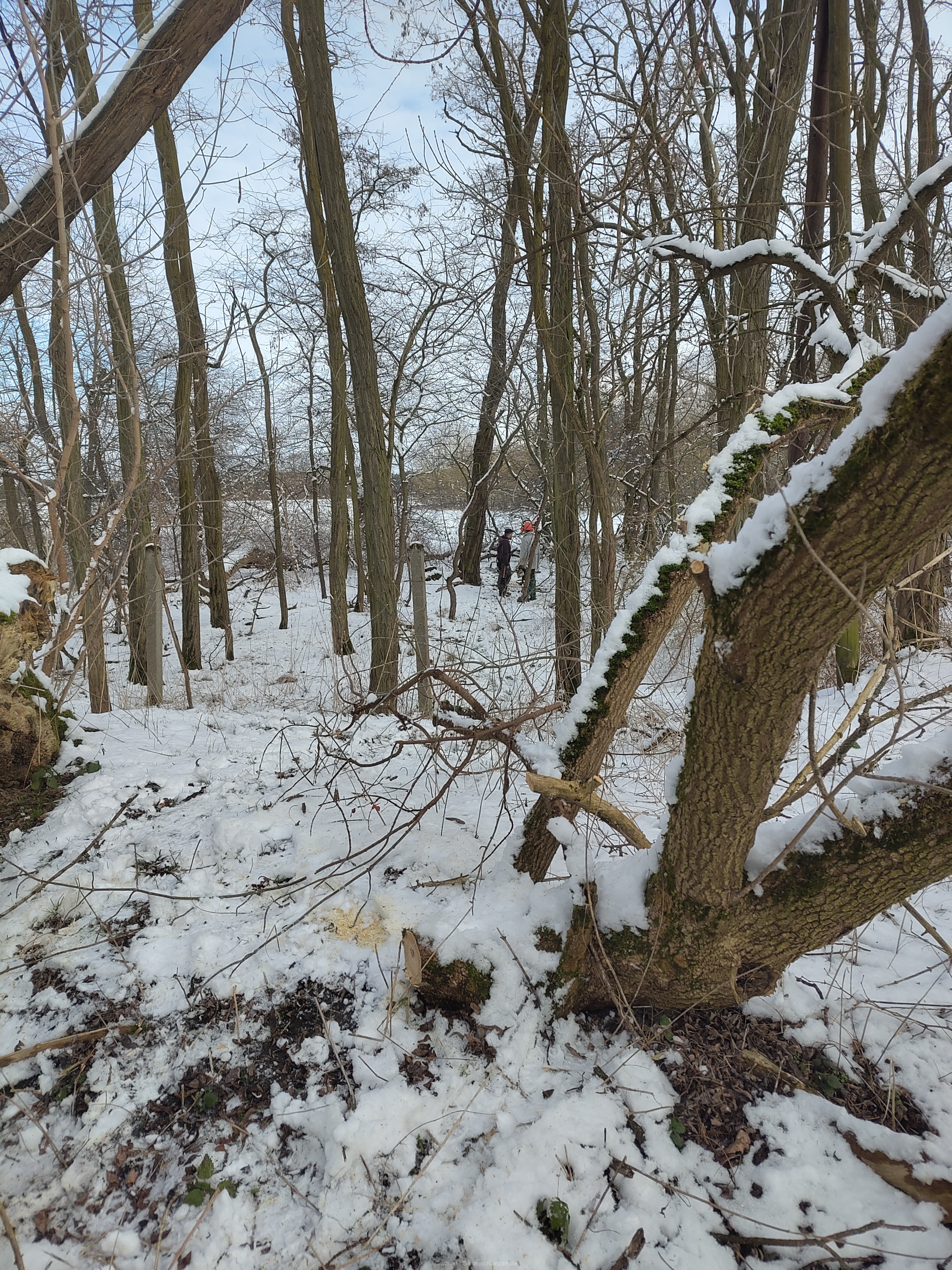 IMG_20250215_130220