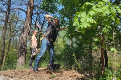 IMG_20250501_124701