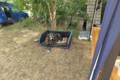 2023-05-23_Killturnier_009