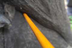 2023-05-23_Killturnier_021