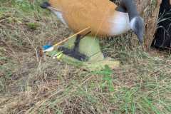 2023-05-23_Killturnier_022