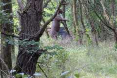 2023-05-23_Killturnier_025