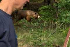 2023-05-23_Killturnier_026