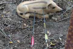 2023-05-23_Killturnier_028_Volltreffer