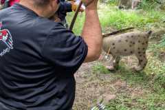 2023-05-23_Killturnier_031