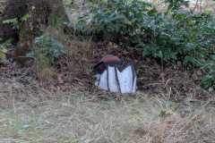 2023-05-23_Killturnier_034