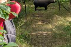 2023-05-23_Killturnier_035