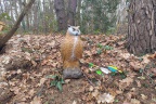 IMG_20260314_132944