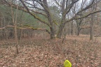 IMG_20260315_130733