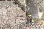 IMG_20260315_130737